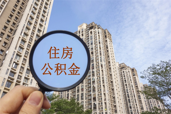广州提取公积金正规中介（提取公积金 正规中介）